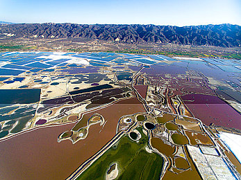 女优与黑人：极速女神深度解析，优雅日系与狂暴美系的对决攻略-2