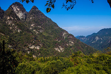 2023黄色免费网站APP：街头竞速新作今日上线，闪电黄超跑引领免费改装风潮-3