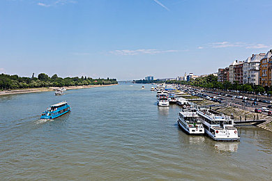 中国毛茸茸亚洲人：东方神话竞速，驾驭灵兽驰骋水墨赛道