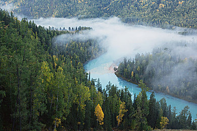 厨房偷愉：深夜疾驰，静谧窃取，厨房限时大冒险-1