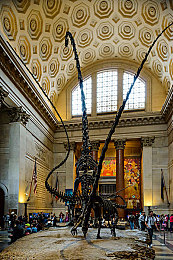 暴躁大妈2农场女儿角色剧情介绍森林：家族秘辛与生态谜题，全新农场物语今日揭秘森林传承