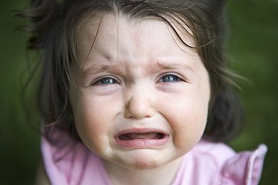 自由 管 剪辑 中国的隐喻：驰骋于规训与旷野间的速度叙事诗