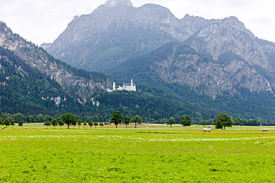 男生女生差差疼APP下载:极速搭档上线,双人协同驾驶开启全新竞速社交体验-2