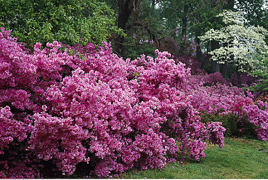 被按摩师摸到花蒂喷出来：感官共鸣临界点，拟真驾驶绽放时刻