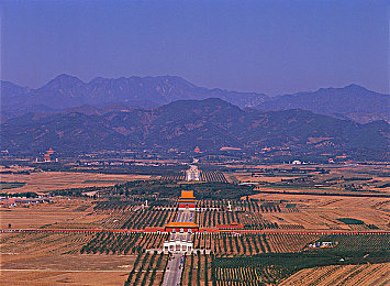 老师的胸：地平线玩家热议经典车型曲线，虚拟驾驶唤起情感共鸣-2