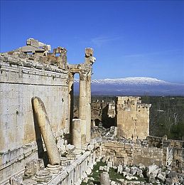 亚洲有码 二区：都市双轨，合规狂飙的昼夜交锋