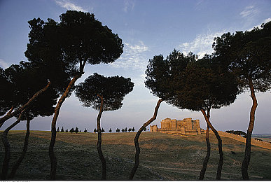 juliaann爆乳熟妇：经典肌肉车改装巅峰对决，Vintage Velocity今日解锁硬核驾驶艺术