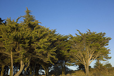 爱情岛官方论坛AV:极速心跳,星光海岸的浪漫竞速之旅-2