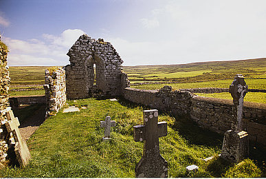 W少妇XXX：霓虹夜幕下的极速传说，揭开都市竞速谜案-2