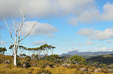 one成年人的世界一个就够了：在墨西哥的壮丽风景中，找回纯粹驾驶乐趣的避风港-2