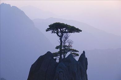 少妇XXx：双重人生疾驰，女性车手颠覆地下赛车世界