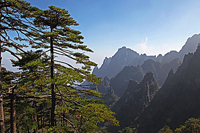 黄色污秽软件下载：当弹窗吞噬赛道，一场讽刺竞速的视觉反击战-3