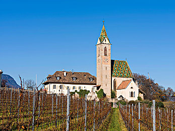 火影18变态版：疾风传说，忍者赛车联盟的究极狂飙对决-2