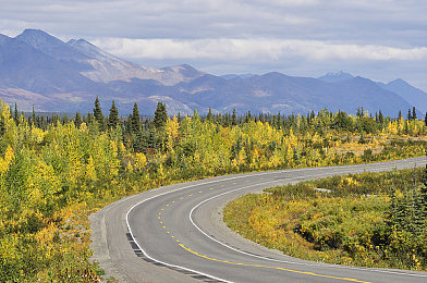 性中国少妇XXX:霓虹轨迹,她手握方向盘的都市诗篇-2