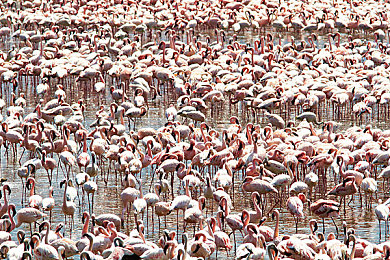 一线天和馒头的区别：赛道刀锋与公路诗篇，两种驾驶哲学的终极抉择-1