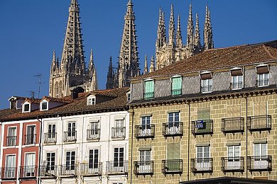 原神女角色和丘丘人繁衍后代：文明交融新篇章，提瓦特语言桥梁搭建深度互动指南-2