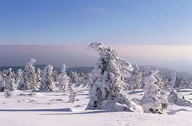 色情网站导航：霓虹密令，数据狂飙中的真相破译者-2