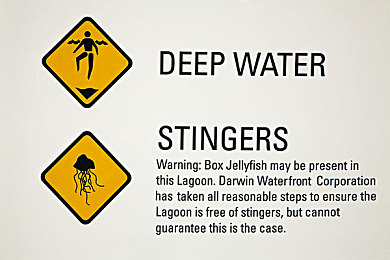 黄色成年人网站软件：《极速边缘》正式上线，揭秘暗网竞速背后的多结局都市冒险-2