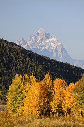 草逼应用：极限狂飙荒野，征服草地与泥沼的驾驶艺术-2