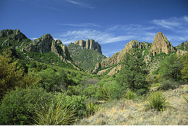 操bAPP：极限车手，街头争霸，你的虚拟改装实验室-2