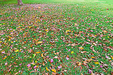 美女露胸app:未来赛车新作颠覆感官,赛博皮肤竟暗藏实战属性引热议-1