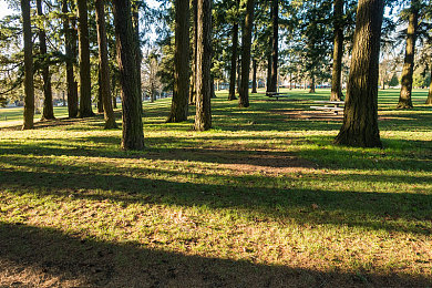 欧洲精品一区二区三区：驰骋欧陆三重境，从经典到超跑的驾驶艺术之旅