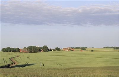 99热这：极速心跳，虚拟轮胎与真实梦想的交融之路-2