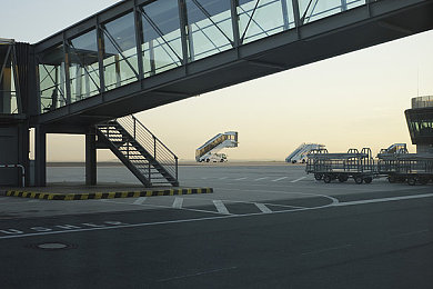 女人与公豬交酡全过程免费：《荒野猪车》今日上线，人车共生开启废土生存新纪元-2