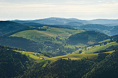 网曝吃瓜黑料泄密在线一二：极限竞速地平线系列幕后传闻与专业驾驶指南全解析-2