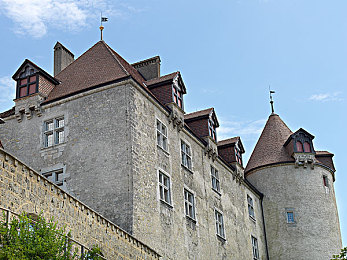 打扑克大喊大叫的软件:极速狂飙,卡牌与引擎交织的智勇对决-3