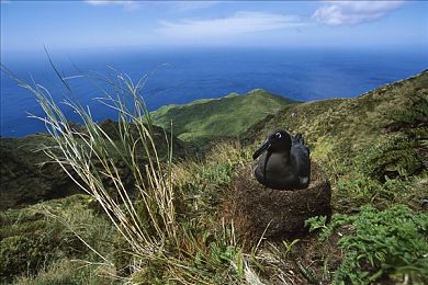 黄opop 0.03：极速像素新调校，精准操控引领赛车游戏革命