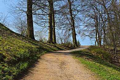 国产一卡二卡三区四区：驾驭资源，决胜极速赛道，打造你的专属赛车帝国-2