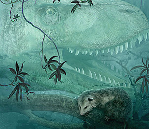 男生和女生操操的软件：双人协同驾驶新作发布，极速搭档如何重塑赛车游戏社交体验