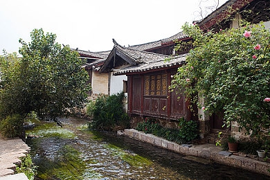 原神八重神子和丘丘人繁衍后代：雷火交织引爆战场，元素反应战术深度解析