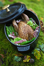 修修漫画免费登录页面在线阅读下拉：像素竞速新作今日上线，漫画叙事驱动多重赛道狂飙-1