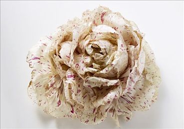 黄色软件下载并安装：解锁太阳神涂装，让你的街头赛车闪耀极致光芒-3