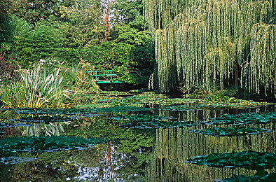 黄色APP下载vivo无限次：地平线彼端，风驰电掣的永恒旅程，唤醒速度之魂-2