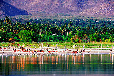 羽毛球前国手叶某颖：极速羽球跨界登场，双轨竞速点燃运动激情新体验-3