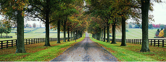 男生女生叉叉叉软件：极速联结街头代号X，竞速社交新体验，赛道匹配真实伙伴-1