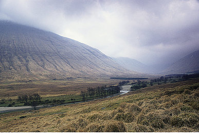蜜桃Aⅴ：甜蜜竞速与虚拟狂飙，开启你的糖果色驾驶幻想之旅
