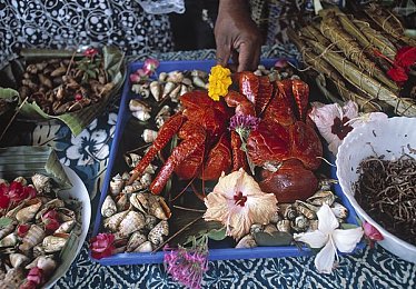 打扑克的剧烈运动不盖被子：极速牌局狂飙对决今日上线，策略与竞速的终极融合引爆游戏圈