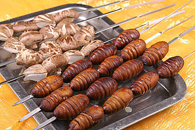 机机对机机手机免费下载版:疾驰变形,钢铁竞速与近战交响诗篇-3