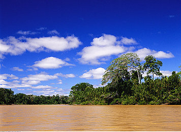 动态啪啪:引擎轰鸣换挡爆音,地平线5打造触觉竞速新纪元-2