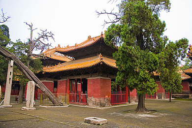 东京热App：疾速暗影，霓虹街头的终极改装竞速