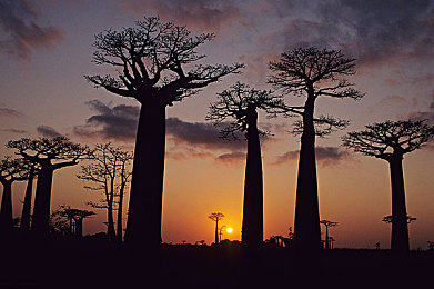 软件下载3.0.3每天无限次破解版大全：极限狂飙无限氮气，凭技术赢得无限动力快感