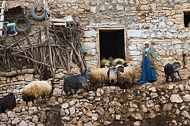 黄色应用下载oppo：极速黄潮席卷OPPO，未来都市街头狂飙攻略全解析