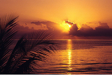 3.0.3免费oppo版破解：极速狂飙都市传奇雨夜追击，合法进阶攻略与赛道技巧揭秘-1