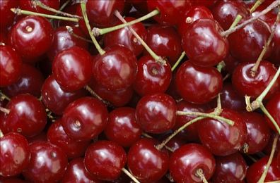 国产成人自拍电影：本土硬核赛车新作今日上线，真实驾驶与创意拍摄定义街头传奇-2