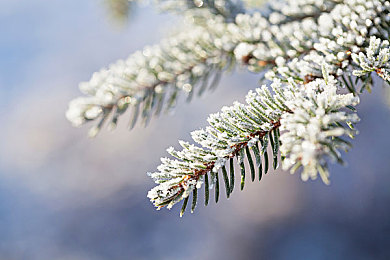 十大禁止安装的应用：车载游戏安全警报，这些娱乐应用可能危及行车安全-3