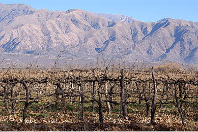 3.0.3免费OPPO版大全装扮2023直接进入：极致改装，打造你的专属梦想座驾，体验真实汽车个性化之旅-3